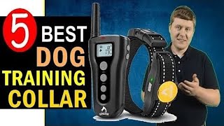 Best Dog Training Collar 20232024 🏆 Top 5 Best Dog Training Collars Reviews [upl. by Reppart]