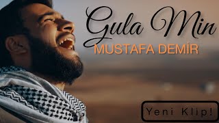 MUSTAFA DEMİR  GULA MIN Official Music Video [upl. by Clauddetta]