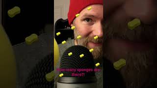 ASMR Big Yellow Sponge on Mic shorts [upl. by Ahseneuq]