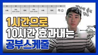 노베 최적의 공부시간표 수학 국어 영어 탐구 어떻게 공부하는게 효율적일까 2탄 [upl. by Asennav]