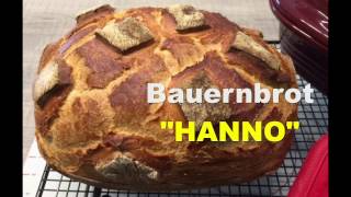 Bauernbrot HANNO im Zaubermeister gebacken [upl. by Linis]