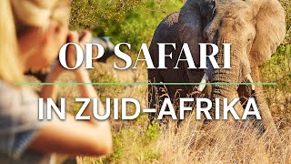 Op Safari in Zuid Afrika [upl. by Aenahs]