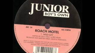 Roach Motel  Wild Luv [upl. by Cohligan]