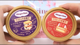 HaagenDazs Classic Cake Ice Cream [upl. by Nananne244]