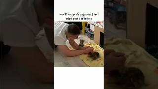 प्यार की भाषा हर कोई समझ सकता है फिर चाहे वो इंसान हो या जानवर animallover [upl. by Remas442]