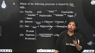 Which of the following processes is helped by bile salts [upl. by Nywles]