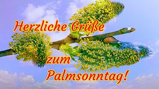 Einen Schönen Palmsonntag💐🌿 Herzliche Grüße zum Palmsonntag💖 Palmsonntag 2024🌷 Grüße für Dich💕 [upl. by Alleynad]