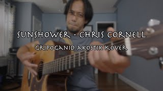 Sunshower  Chris Cornell [upl. by Regen]