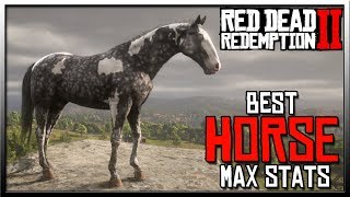 BEST Red Dead Redemption 2 Horse with Max Stats  Red Dead 2 Horses [upl. by Langsdon]