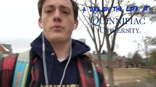 A Day In The Life At Quinnipiac University [upl. by Ykcub]