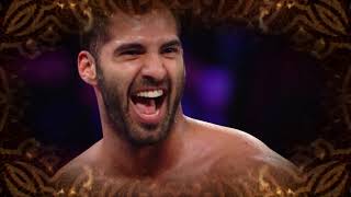 Ariya Daivari 3rd Titantron 20172019 HD [upl. by Landan]