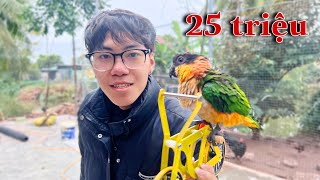 Dương KC  Chú Vẹt Siêu Thông Minh Biết Nhặt Đồ Vứt Vào Thùng Rác  Super Smart Parrots [upl. by Kathi215]