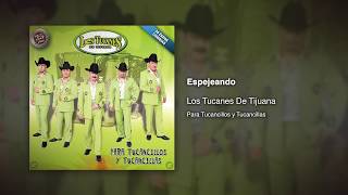 Espejeando  Los Tucanes De Tijuana Audio Oficial [upl. by Aihsened697]