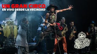 Maldita Vecindad  Un Gran Circo  2021 En Concierto Video Oficial [upl. by Crudden551]