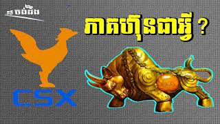 តើភាគហ៊ុនគឺជាអ្វី What is stock [upl. by Furr]