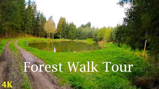 Forest Walk Tour  4K  ASMR  Virtual Walking  Slow TV  Nature Hike  Spring Trail [upl. by Rebekah]