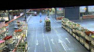 Aalsmeer Flower Market Operations [upl. by Dreda]