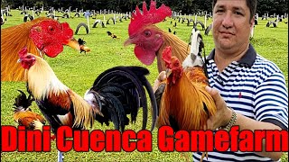 Lets Visit The Farm Of Dini Cuenca Gamefarm [upl. by Yonit]