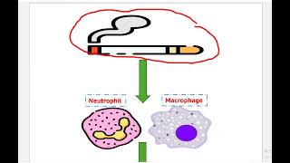 COPD part one [upl. by Enyalb]