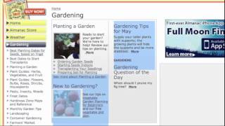 When to plant seedlings [upl. by Hawker]