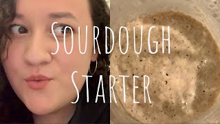 Trying Joshua Weissman’s Sourdough Starter Recipe [upl. by Browning]