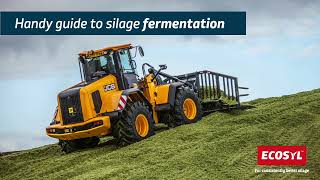 Guide to a successful silage fermentation [upl. by Cirederf948]