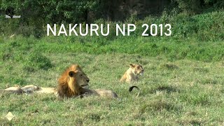 Nakuru Safari 2013 [upl. by Lesna]