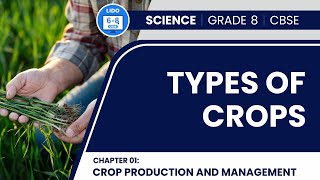 Crop Ideotypes  Plant Ideotypes  Crop ecology Part 2  Model plants  Ideotype breeding [upl. by Eilasor895]