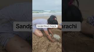 Sandspit beach  Karachi  Pakistan trip 2024 sandpit beach [upl. by Feetal]