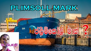 Plimsoll mark [upl. by Mozes336]