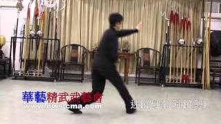 迷蹤母拳迷蹤架 Mizong Mu Quan Mizong Jia [upl. by Sybilla]