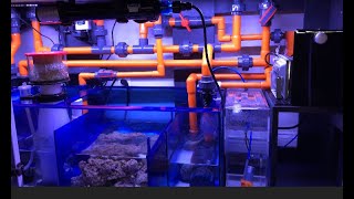 How To The Ultimate Filtration Sumps [upl. by Enyedy]