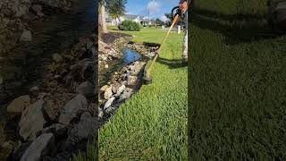 landscap gardendesign lawncare landscapr satisfying landscaping lawn landscapping farming 🌳 [upl. by Hajidahk]