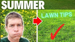 Summer Lawn Tips From a Lawn Care Pro [upl. by Lj680]