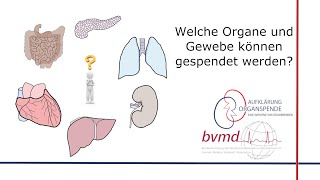 Welche Organe und Gewebe können gespendet werden  Aufklärung Organspende [upl. by Leopoldeen855]