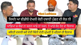 Ik Shonk kabootarbaazi Da Interview Mani Ludhiana Har Bimari Da Ilaz Is Video Wich [upl. by Lovett]