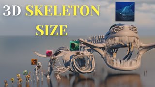 Skeletons 3D Size Comparison  Bloop Vs El Gran Maja Skeletons [upl. by Adin90]