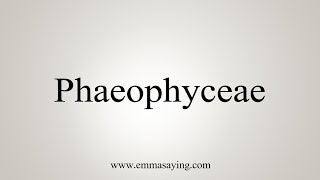 How To Say Phaeophyceae [upl. by Nnire]