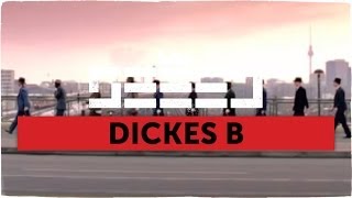 Seeed  Dickes B official Video [upl. by Kaule]