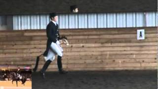 Totilas Freestyle Tribute  the whole stick horse performance [upl. by Nehtanoj]