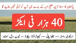 Agriculture land for sale in Punjab Pakistan  zameen for sale  land for sale [upl. by Anaili507]