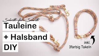 DIY Tauleine  Tauhalsband für Hunde  SchrittfürSchritt Anleitung [upl. by Fassold]