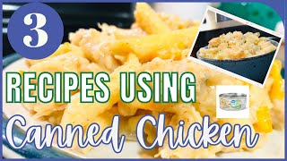 NEW 3 BEST Ways To Use Canned Chicken  Tasty Chicken Recipes Made EASY  Simple Recipes [upl. by Zetroc]