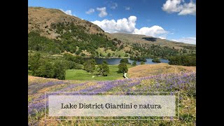 Viaggi Floreali nel Lake District a maggio [upl. by Stortz]