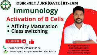 BCell Activation amp Differentiation  Affinity Maturation  Class Switching  Immunology  L24 [upl. by Las345]