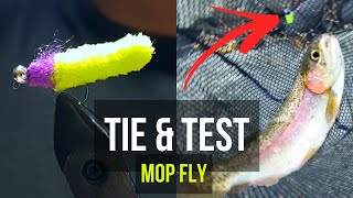 Mop Fly TIE amp TEST  Fly Fishing for Trout Big Stony Creek VA [upl. by Mallin]