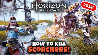 How to Kill Scorchers  Horizon Zero Dawn 2022  Master Machine Hunting Guide [upl. by Niles]