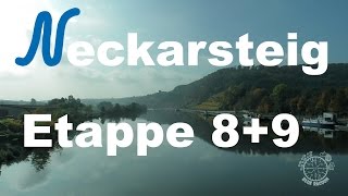 Der Neckarsteig Etappe 9 von Gundelsheim nach Bad Wimpfen [upl. by Stesha712]