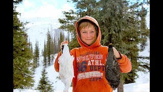 Ptarmigan vs Grouse How to Tell the Difference [upl. by Auqeenwahs463]