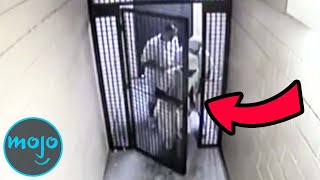 Top 10 Prison Escapes Caught on Camera [upl. by Lempres]